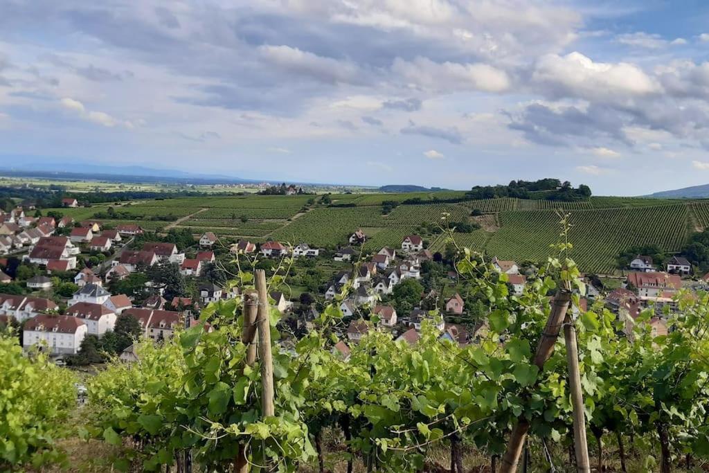 L'Appart Avec Terrasse - Centre Historique Barr Eksteriør billede